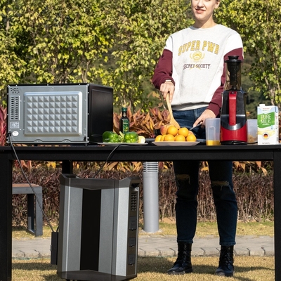 OEM LiFePO4 Multifunctionele Comité van het Batterij2500w het Hybride 2500w Zonnestelsel