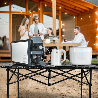 1000w zuivere sinusomvormer draagbaar laadstation voor op de camping
