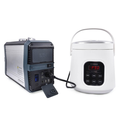 oem 500W 1000W Zonnepaneelgenerator het Zonne het Kamperen Systeem van de Krachtcentraleverlichting