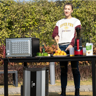 OEM MPPT van Uitrustingen 2500 Watts 3000w van de Net de Zonnegenerator